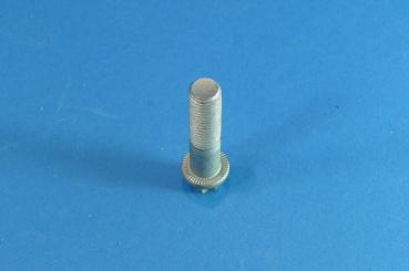 Torx screw with ribs M10X43 ZNS3 BMW 1er 3er 5er 6er 7er X1 X3 X5 X6 Z1 Z3 Z4