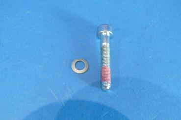 ALPINA Torx screw M5x25 microencapsulated RDC