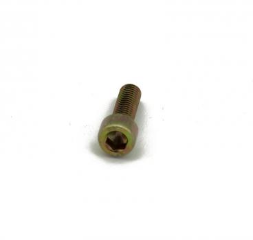 Bolt ISA M6x20-8.8-ZNNIV BMW 3er 5er 6er 7er 8er M1 Z3 MINI