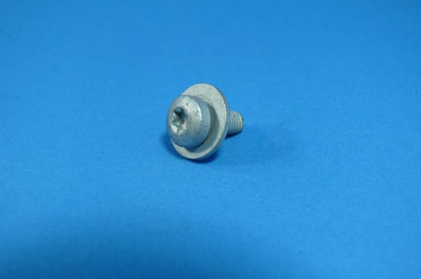 Torx screw with washer M6x14 Z2 BMW 3 series 5 series 6 series 7 series X5 Z3 Z8