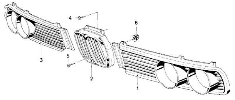 Niere für BMW E3/E9 (Bild 2)