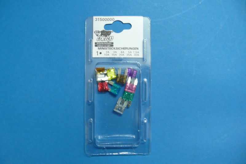 mini fuses 2A-30A (10-pcs.)