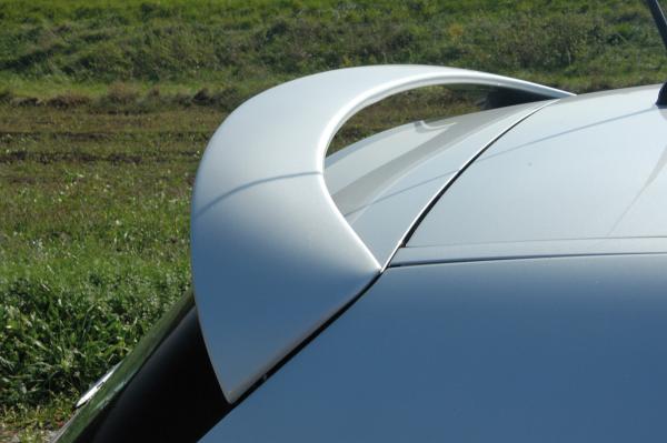 RIEGER Dachflügel passend für BMW 1er E81 / E87